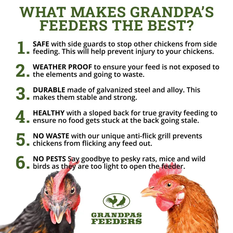 Grandpa's Feeders Automatic Gravity-Fed Chicken Feeder for Coops and Runs