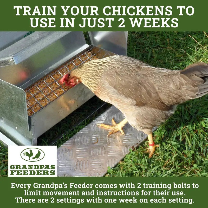 Grandpa's Feeders Automatic Gravity-Fed Chicken Feeder for Coops and Runs