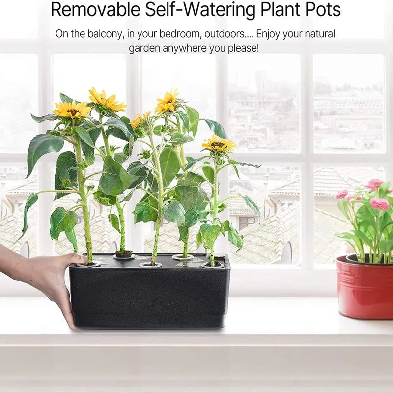 iDOO 20 Pods Hydroponics Growing System, Indoor Herb Garden Planter