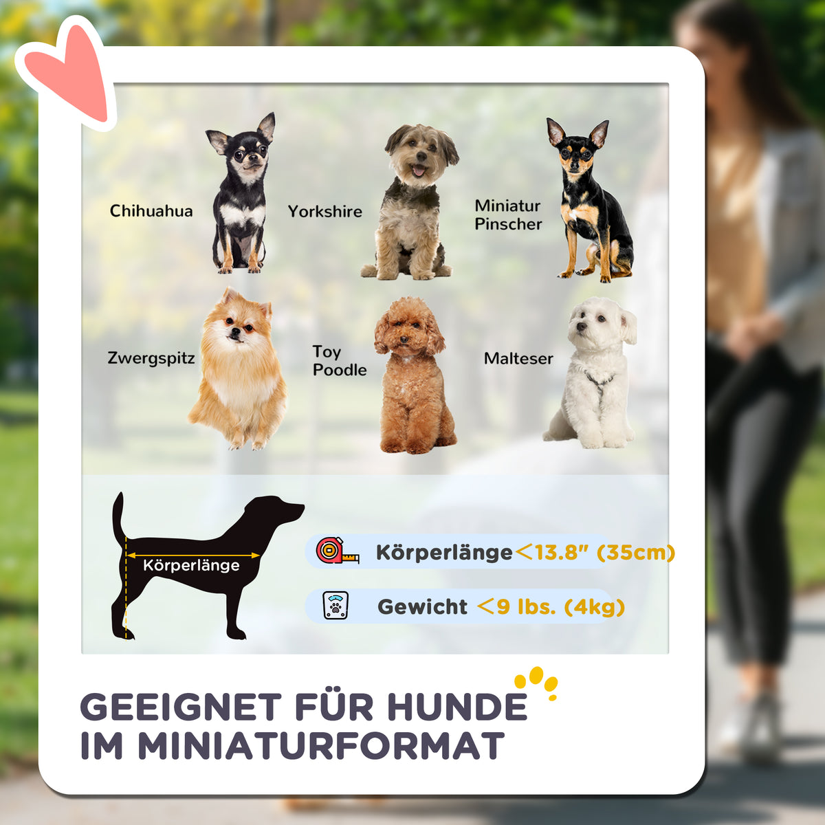 PawHut 3-in-1-Haustierkinderwagen, zusammenklappbarer Hundewagen mit 4 Rädern und abnehmbarer Trage für Hunde und Katzen, Grau