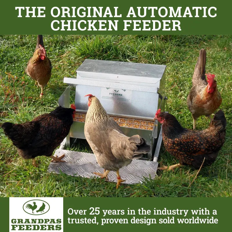 Grandpa's Feeders Automatic Gravity-Fed Chicken Feeder for Coops and Runs