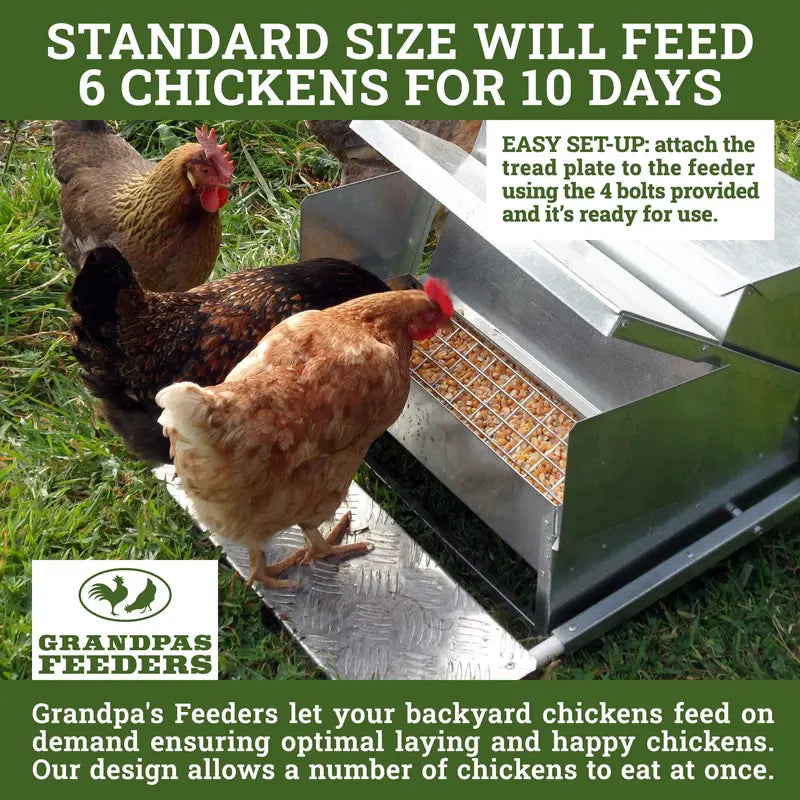 Grandpa's Feeders Automatic Gravity-Fed Chicken Feeder for Coops and Runs