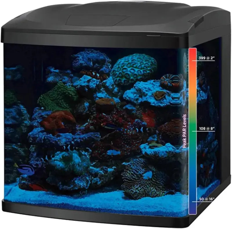 LED Aquarium Combo Kit – 32-Gallon Tank with Matching Stand and Lighting System